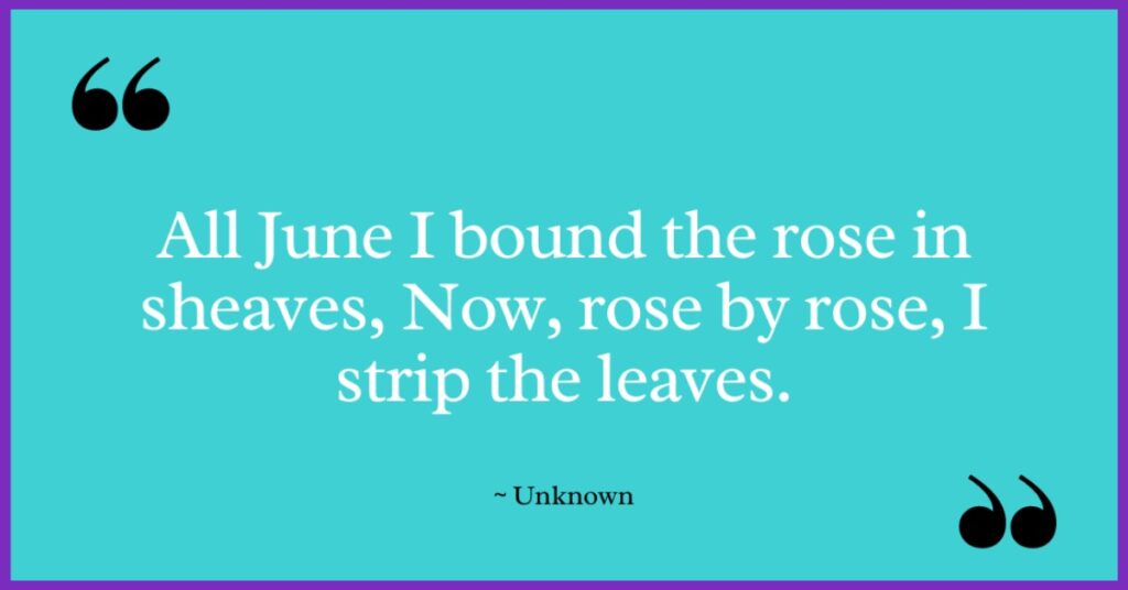 june poetry quotes