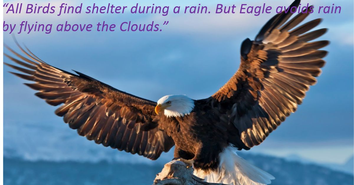 100 Epic Eagle Quotes to Uplift Your Spirit