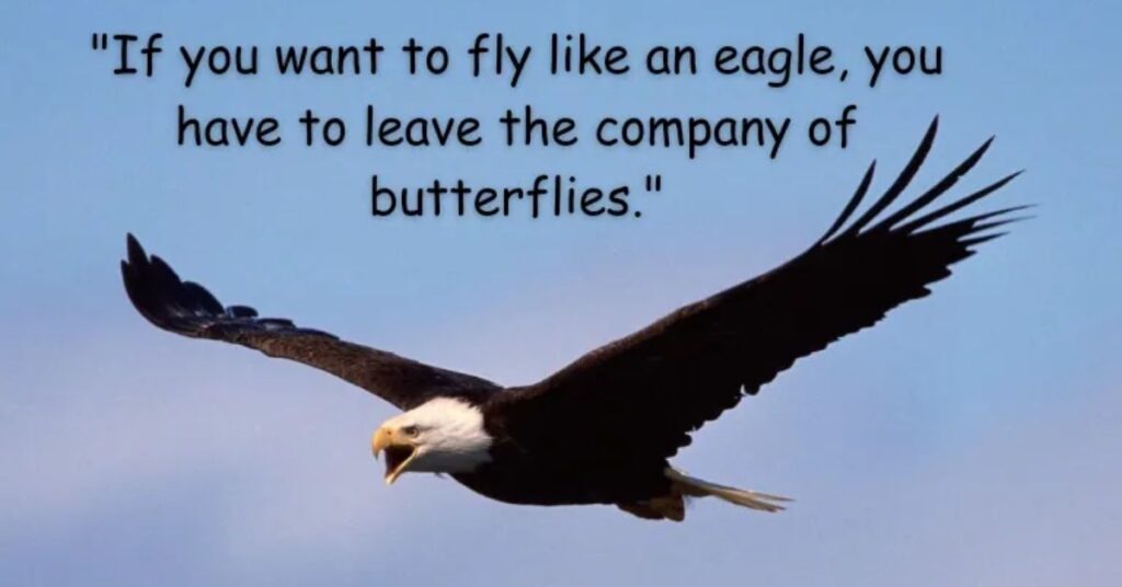 Fly Like an Eagle Quotes