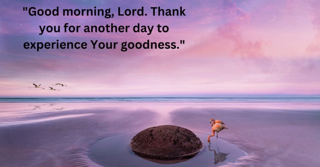 Gratitude in the Morning