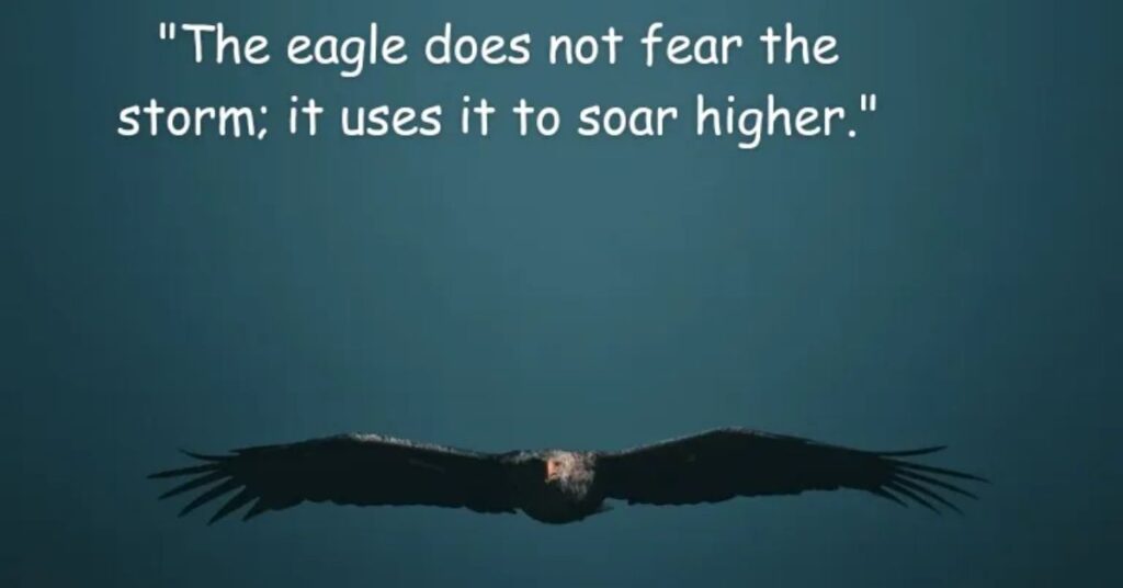 Soar Like an Eagle Quotes